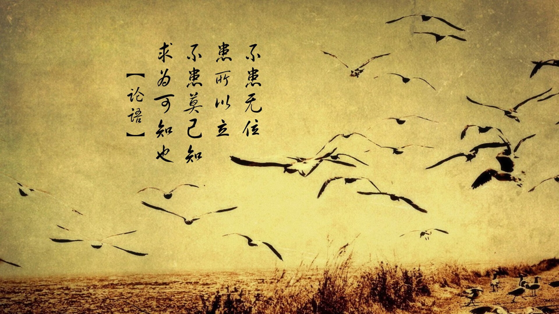 开云体育下载网址-伊朗男足在巴黎奥运会比赛中以3-2战胜德国，伊朗男足世预赛