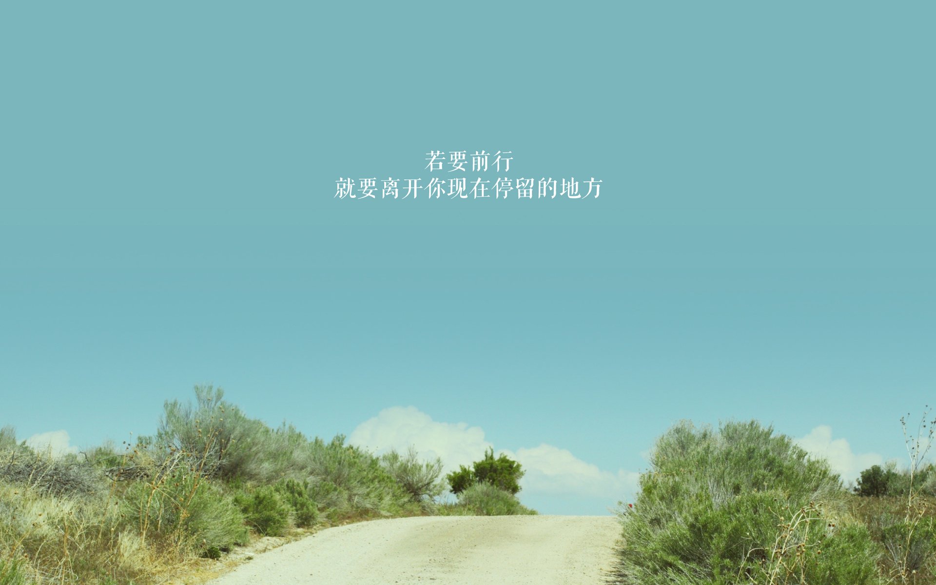 上海飞虎客场负于浙江金牛队，遇到三连败，上海飞虎牌油漆专卖店