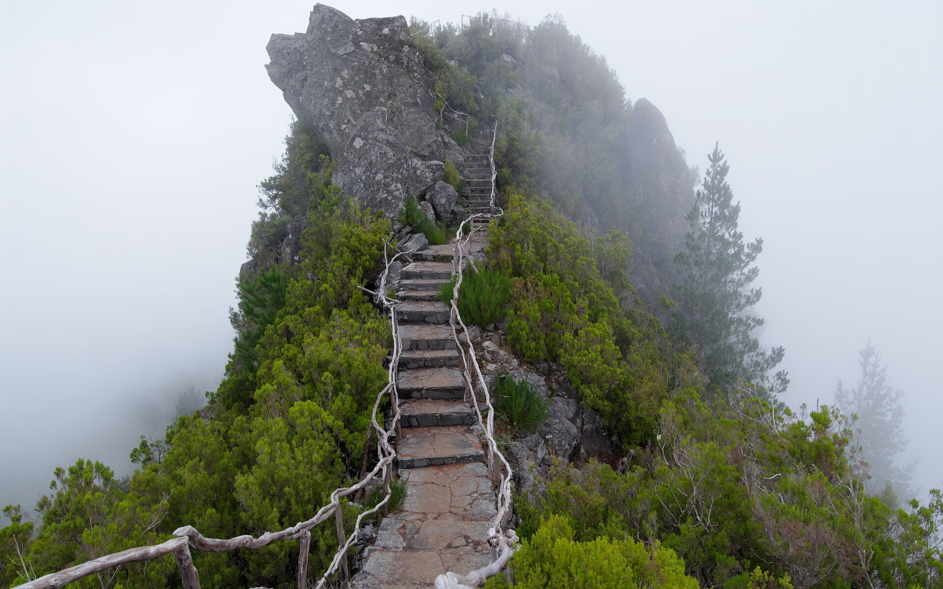 kaiyun-山东泰山新援表现获得认可，泰山已基本引援完毕