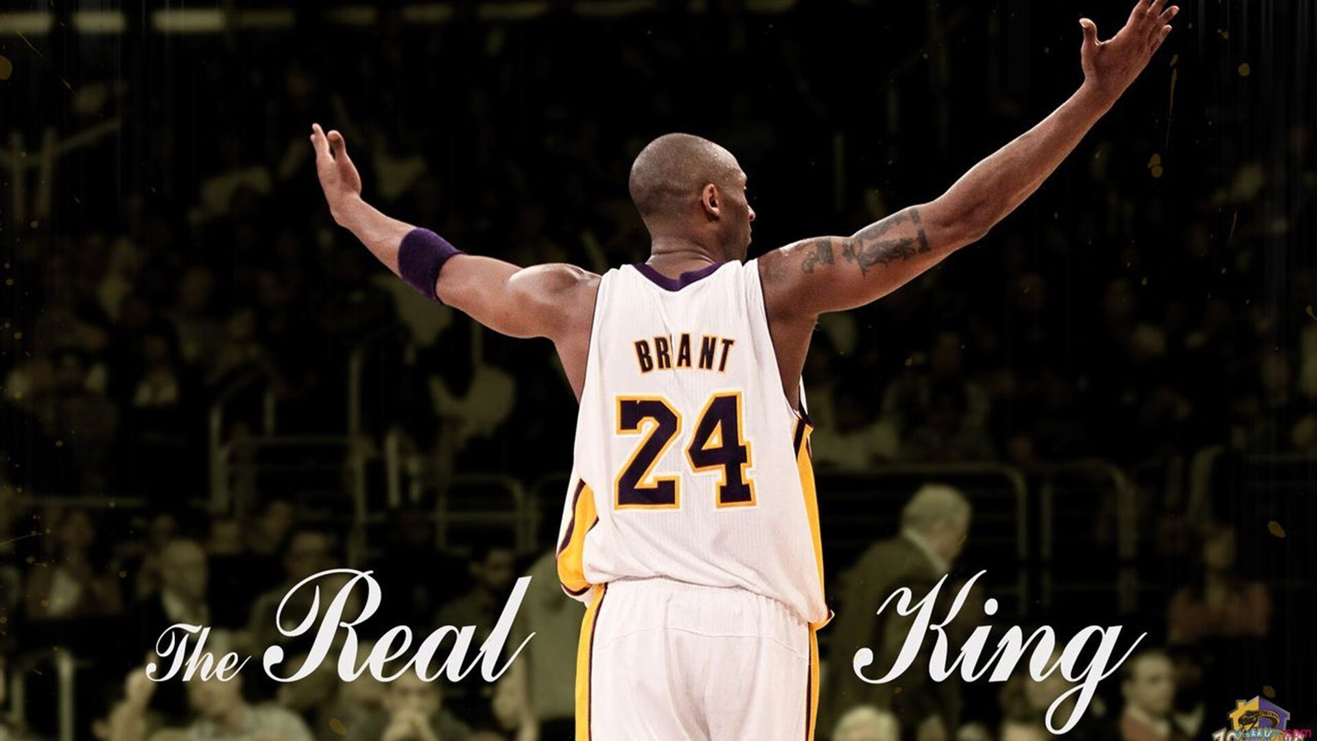 嘉宾访谈：冠军运动员谈比赛趣事，冠军采访